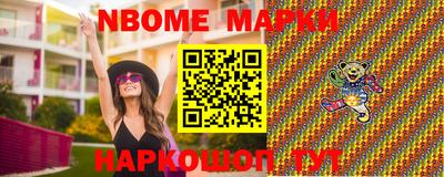 гашик Гатчина