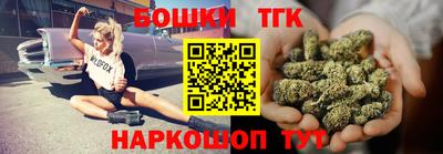 гашик Гатчина