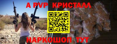 гашик Гатчина