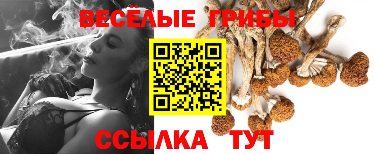 Псилоцибиновые грибы ЛСД Нефтеюганск